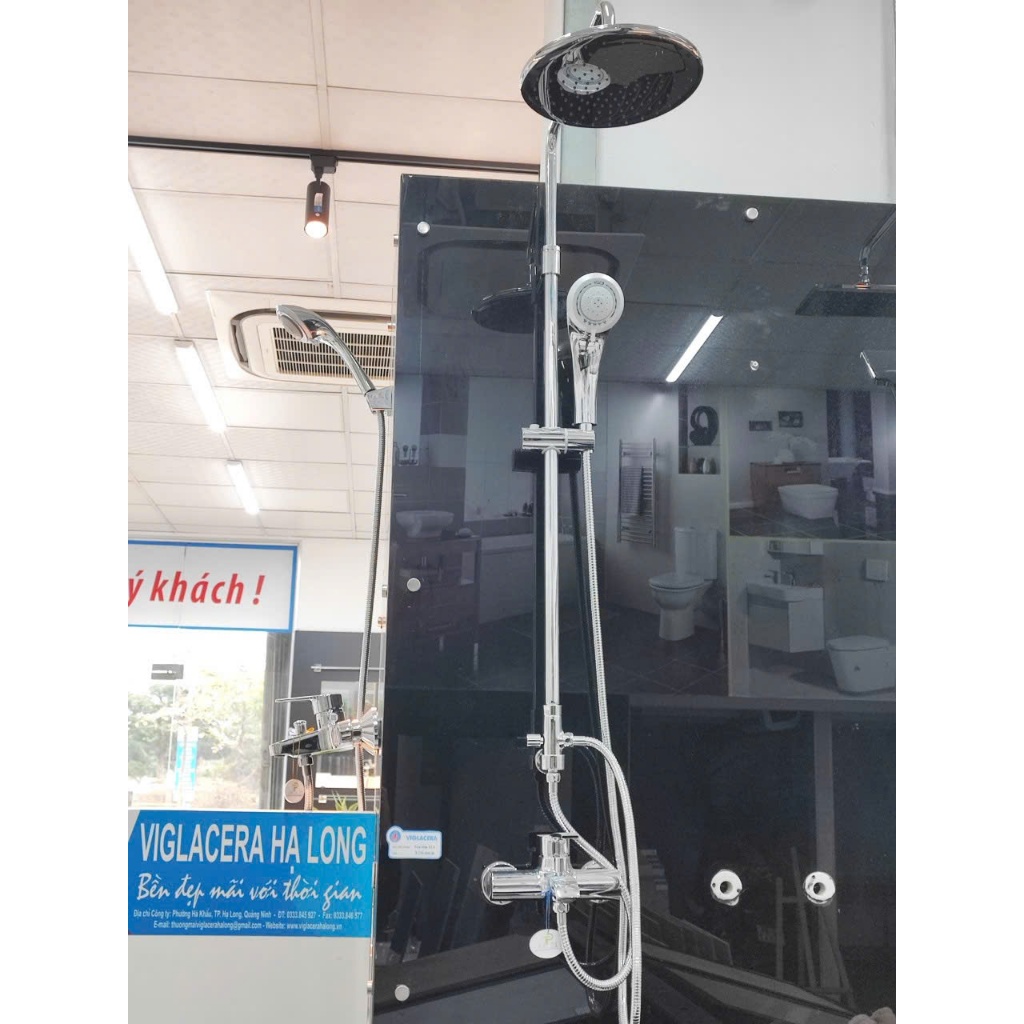 Sen cây ghép Viglacera VG511.1