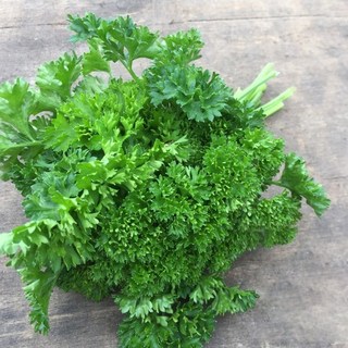Hạt giống ngò tây (mùi tây parsley) - Shop hạt giống Tạ Gia Trang