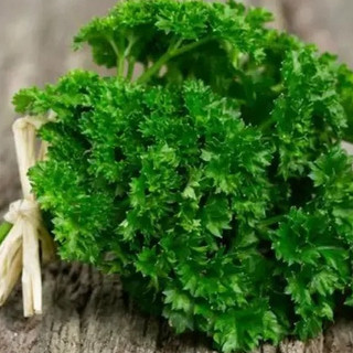 Hạt giống ngò tây (mùi tây parsley) - Shop hạt giống Tạ Gia Trang