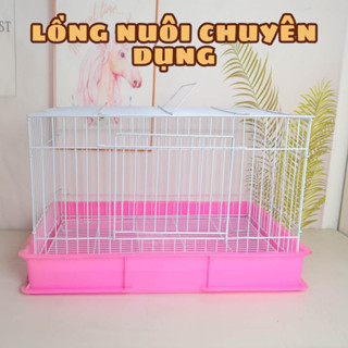 Lồng cỡ lớn nuôi Bọ Ú (Chuột Lang) Thỏ Cảnh chuyên dụng kích thước 60 x 42 x 40 cm