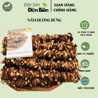 NẤM HƯƠNG RỪNG XIÊN KHÔ, Nấm Hương Xiên Khô Thơm, Giòn Loại 1 Đặc Sản Tây Bắc