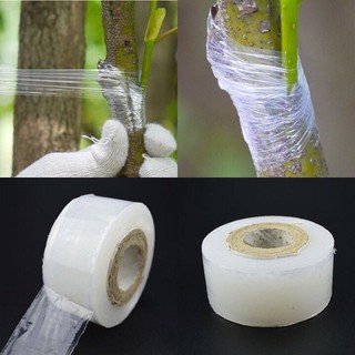 Băng nilon ghép cây chuyên dụng( cuộn xanh/ vàng/ trắng)