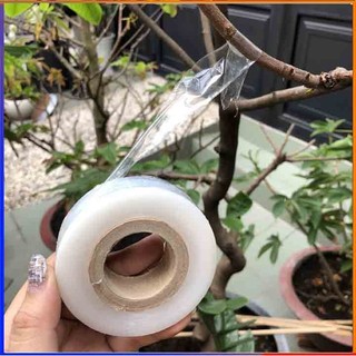 Băng nilon ghép cây chuyên dụng( cuộn xanh/ vàng/ trắng)
