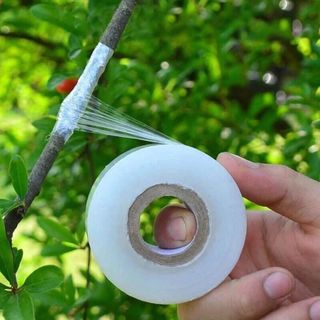 Băng nilon ghép cây chuyên dụng( cuộn xanh/ vàng/ trắng)