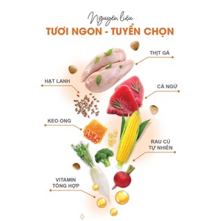 Catsrang Hàn Quốc 5kg thức ăn hạt cho mèo