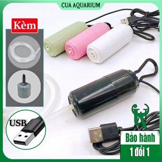 Máy sủi oxy mini USB sục khí bể cá