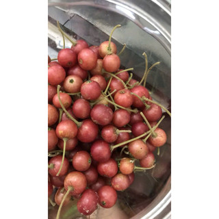 100g Quả Trứng Cá thơm ngon