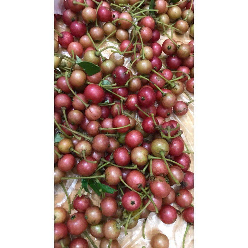 100g Quả Trứng Cá thơm ngon