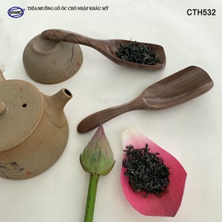  Thìa Xúc Trà Gỗ Óc Chó HAHANCO Phong Cách Nhật Bản - Xúc Gia Vị Cafe Decor  CTH532  