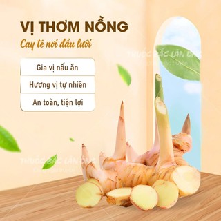 Bột riềng nguyên chất 500g (Gia vị ướp thịt cá thơm ngon)
