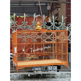 Lồng chim Trường Mai, Khung lồng lực chào mào tự ráp 60 chất liệu tre chân bo viền móc nậm to