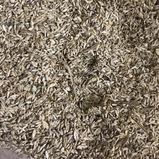CỎ Mần Trầu Tươi_Khô 1000GRAM