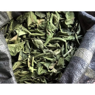 Lá BƯỞI sạch tươi_khô