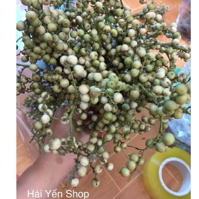 Quả mây rừng trang trí,làm thuốc
