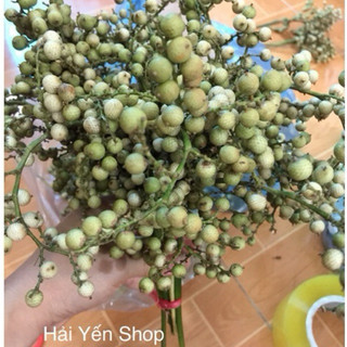 Quả mây rừng trang trí,làm thuốc