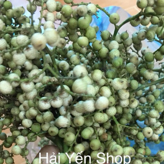 Quả mây rừng trang trí,làm thuốc
