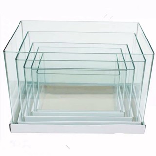 (Chỉ giao hoả tôc) Bể Cá Mini siêu trong, bể đuc cong cạnh, nhiều size lựa chọn. - Bảo hành bể vỡ