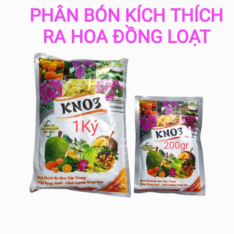 Phân vi lượng kích Hoa đồng loại KNO3 (13-0-46)