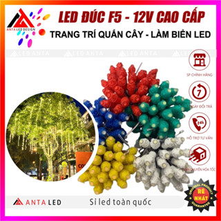Đèn led đúc F5 12V quấn cây, làm biển quảng cáo, đèn trang trí cảnh quan ngoài trời