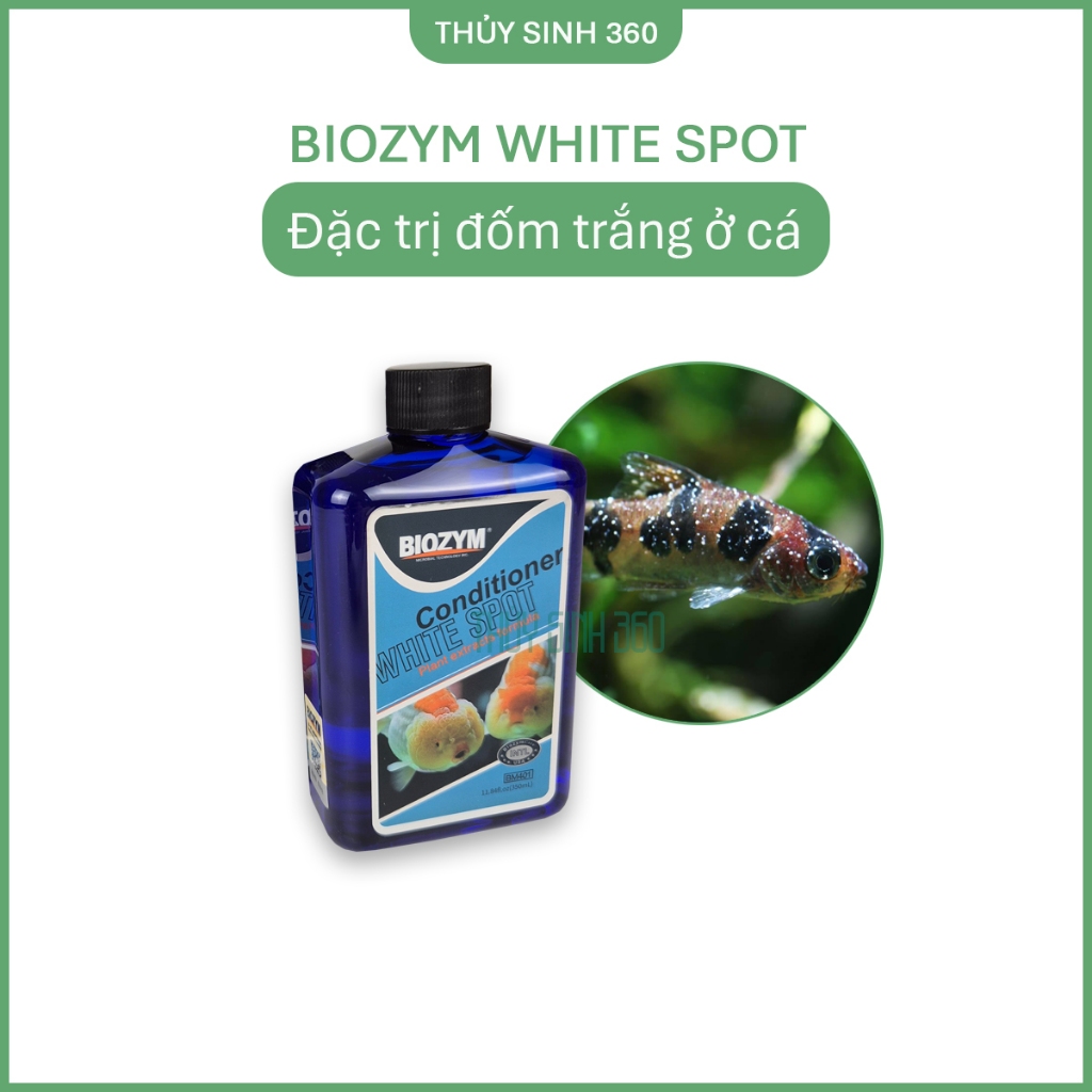 Biozym White Spot - Xử Lý Đốm Trắng Cho Cá Cảnh Hiệu Quả