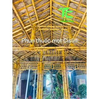 Thuốc diệt mối mọt Cislin 2.5 EC (xuất xứ BAYER, ĐỨC_SX tại Thái Lan)