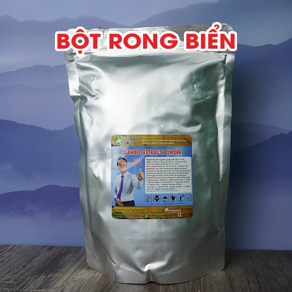 Phân bón dịch rong biển (Seaweed extract powder) vảy tan 100% (gói 1kg)