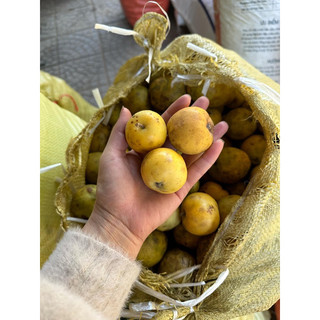 Táo mèo tươi yên bái 1kg