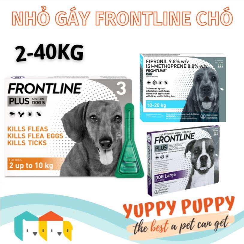 Frontline Plus < 10KG nhỏ gáy phòng ngừa bọ chét và ve cho chó/cún