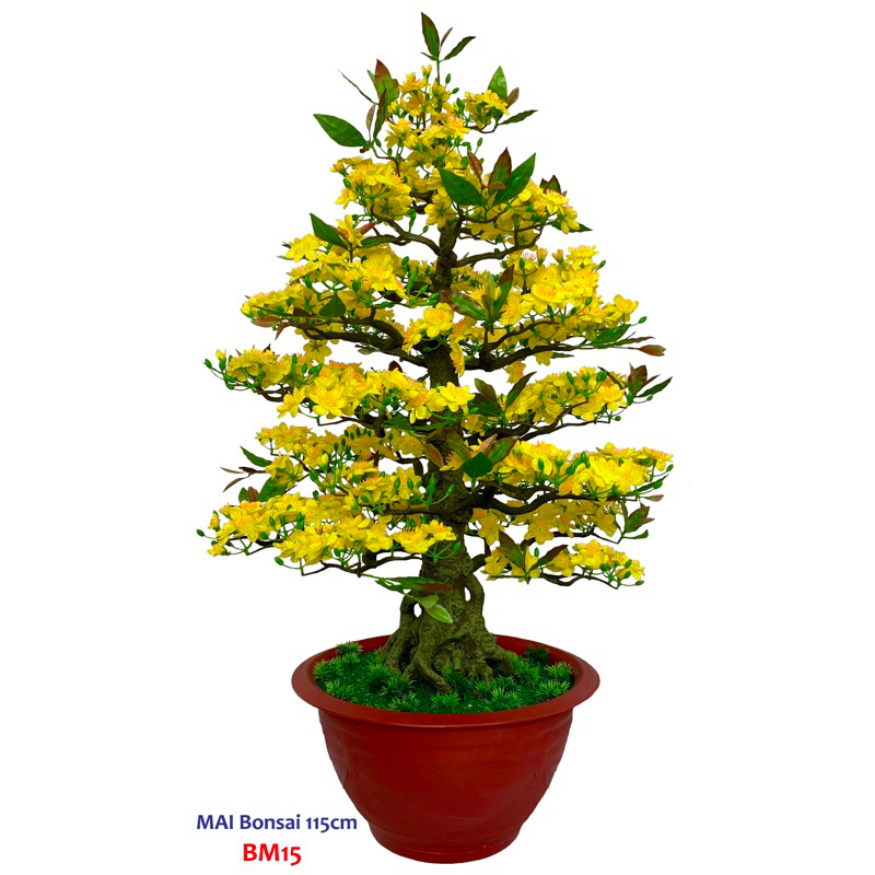 Cây mai giả lắp ráp cao 1m15 dáng Bonsai hàng xuất khẩu BM15