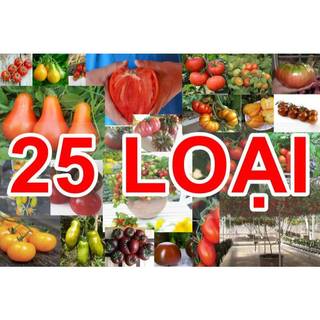 0.2Gr Hạt Giống Cà Chua Crazy Mix (A2.101| B42*W62*M179)