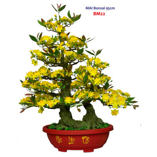  Cây mai giả lắp ráp cao 95cm dáng Bonsai 2 thân hàng xuất khẩu BM22 