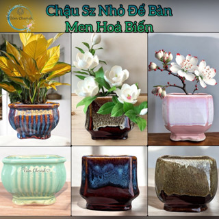 Chậu gốm sứ trồng cây cảnh dáng vuông, vuông khun chân mây, Sz nhỏ.