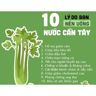 Trà Cần Tây túi lọc nguyên chất, hỗ trợ giảm mỡ máu, đào thải cholesterol, thanh lọc cơ thể, thải độc, hộp 30 túi lọc