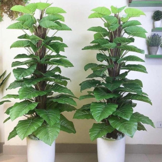 [FREESHIP] Cây trầu bà cột cây giả decor trang trí nhà cửa sân vườn