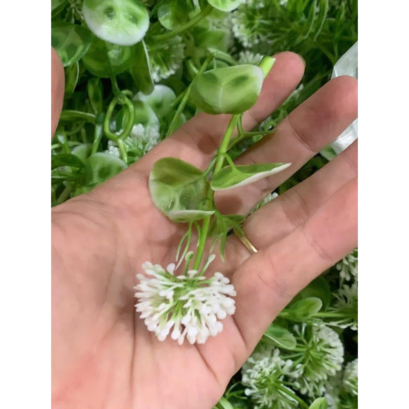 Combo cỏ ký hoa điểm trang trí lộn xộn ( 100gram)