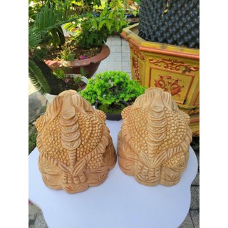 CÓC GỖ XÁ XỊ KT 25x25.