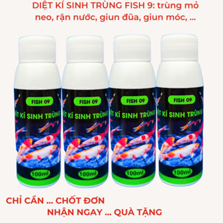 Xử lý kí sinh trùng cho cá Koi, cá cảnh Fish 9