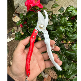 KÉO CẮT CÀNH - KÉO TỈA CÂY SIÊU SẮC BÉN LƯỠI THÉP CHỐNG RỈ ⚡Freeship⚡