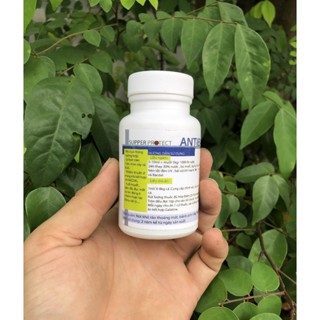  Antibac Max  xử lý nhiễm khuẩn lở loét đục mắt thối mang cá cảnh cá Koi 