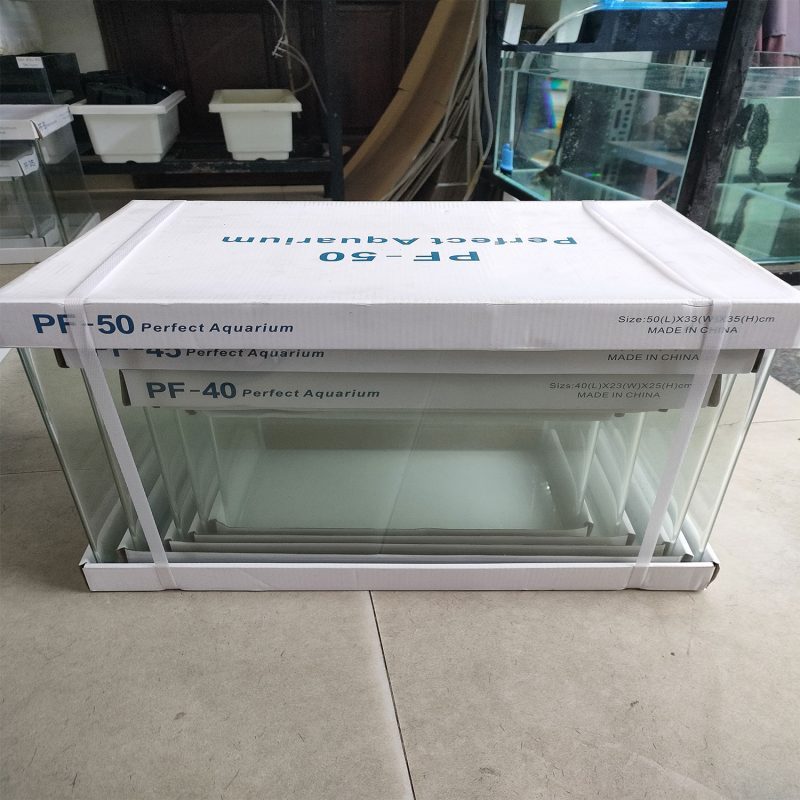 (Chỉ hỏa tốc Hà Nội) Bể kính đúc [Size: 60x30x35cm] | Bể cá mini | Hồ thủy sinh