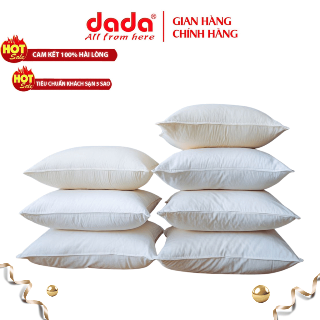 Cặp đôi ruột gối homestay DADA 50x70