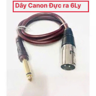  Dây Canon Đực ra 6 Ly dài 0.8m {GIÁ 1 SỢI DÂY} 