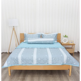 [K-Bedding] Chăn chần bông chất  Cotton kích thước 1m6x2m và 2mx2m2 thoáng khí, êm ái NHIỀU lựa chọn