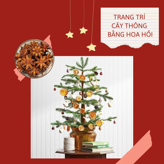 Hoa hồi Lạng Sơn - hàng loại 1
