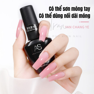 Sơn Gel Nối Dài Móng | Cứng Móng Tạo Cầu Móng Mã WN
