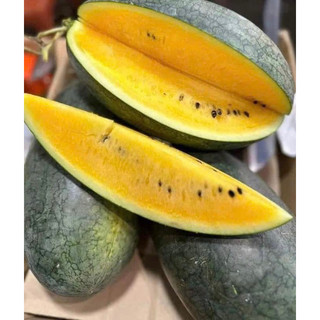 DƯA HẤU RUỘT VÀNG 💥💥 (Trái tầm 2,5Kg - 3Kg)