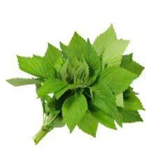 1KG cây rau kinh giới sấy khô