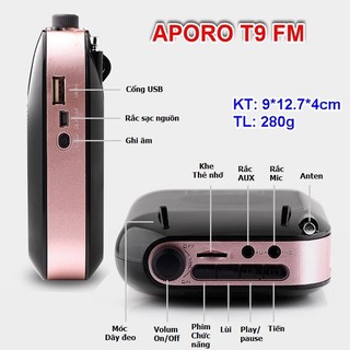 Loa trợ giảng không dây T9 FM