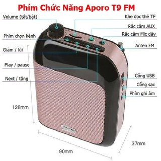 Loa trợ giảng không dây T9 FM