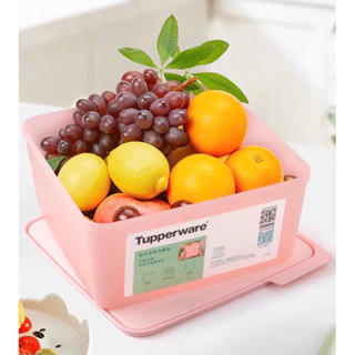 HỘP TUPPERWARE NGĂN MÁT 5L MÀU HỒNG SAN HÔ- CHUYÊN ĐỰNG RAU CỦ QUẢ THỰC PHẨM TƯƠI SỐNG